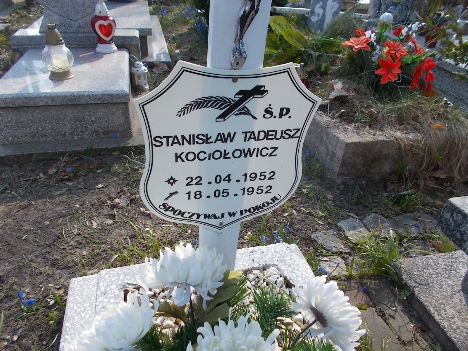 Damian Dymnicki 1977 Ustka - Grobonet - Wyszukiwarka osób pochowanych