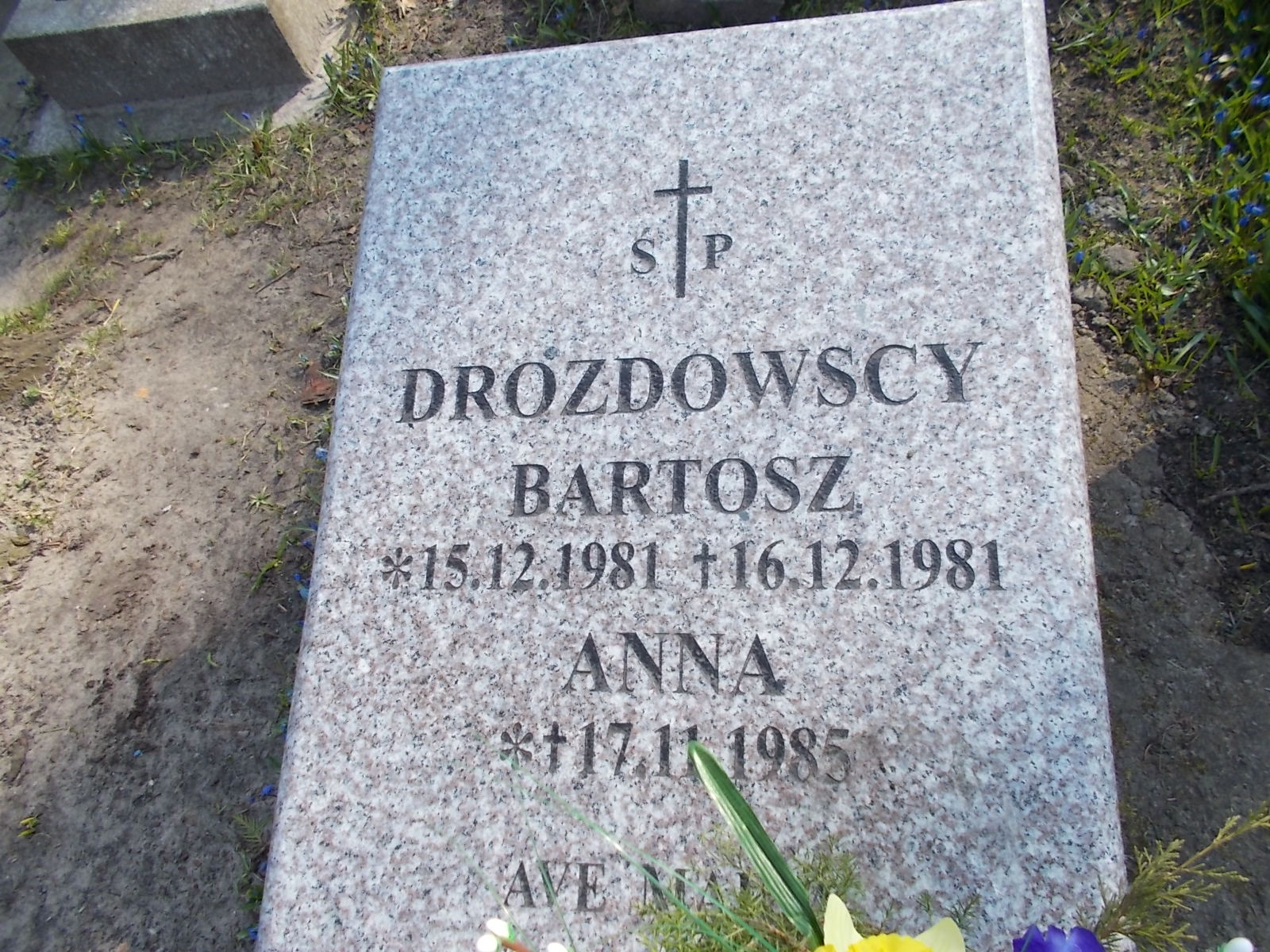 Bartosz Roman Drozdowski 1981 Ustka - Grobonet - Wyszukiwarka osób pochowanych