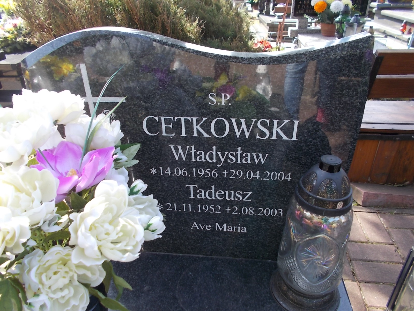 Tadeusz Cętkowski 1952 Ustka - Grobonet - Wyszukiwarka osób pochowanych