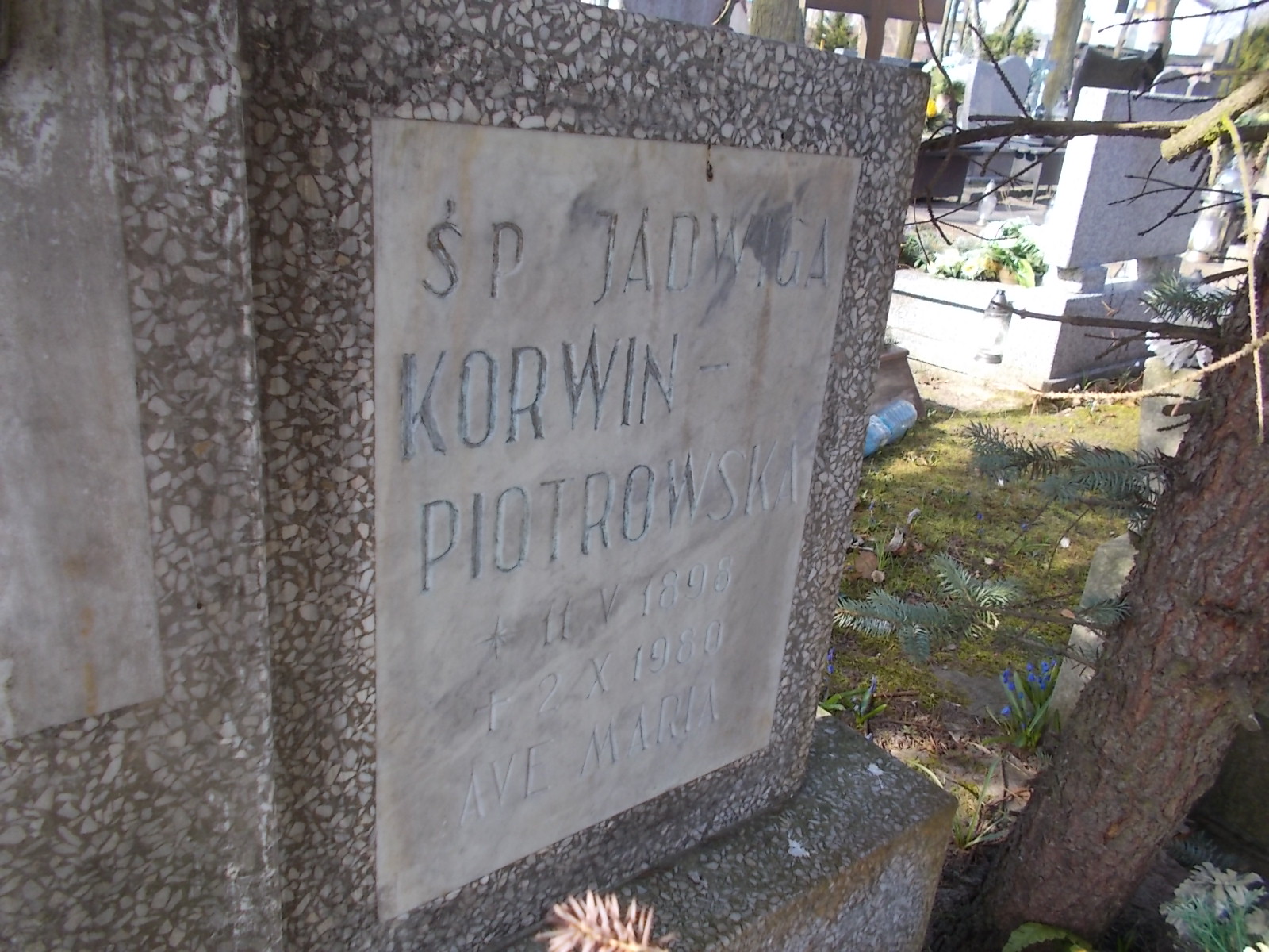 Jadwiga Korwin Piotrowska 1898 Ustka - Grobonet - Wyszukiwarka osób pochowanych