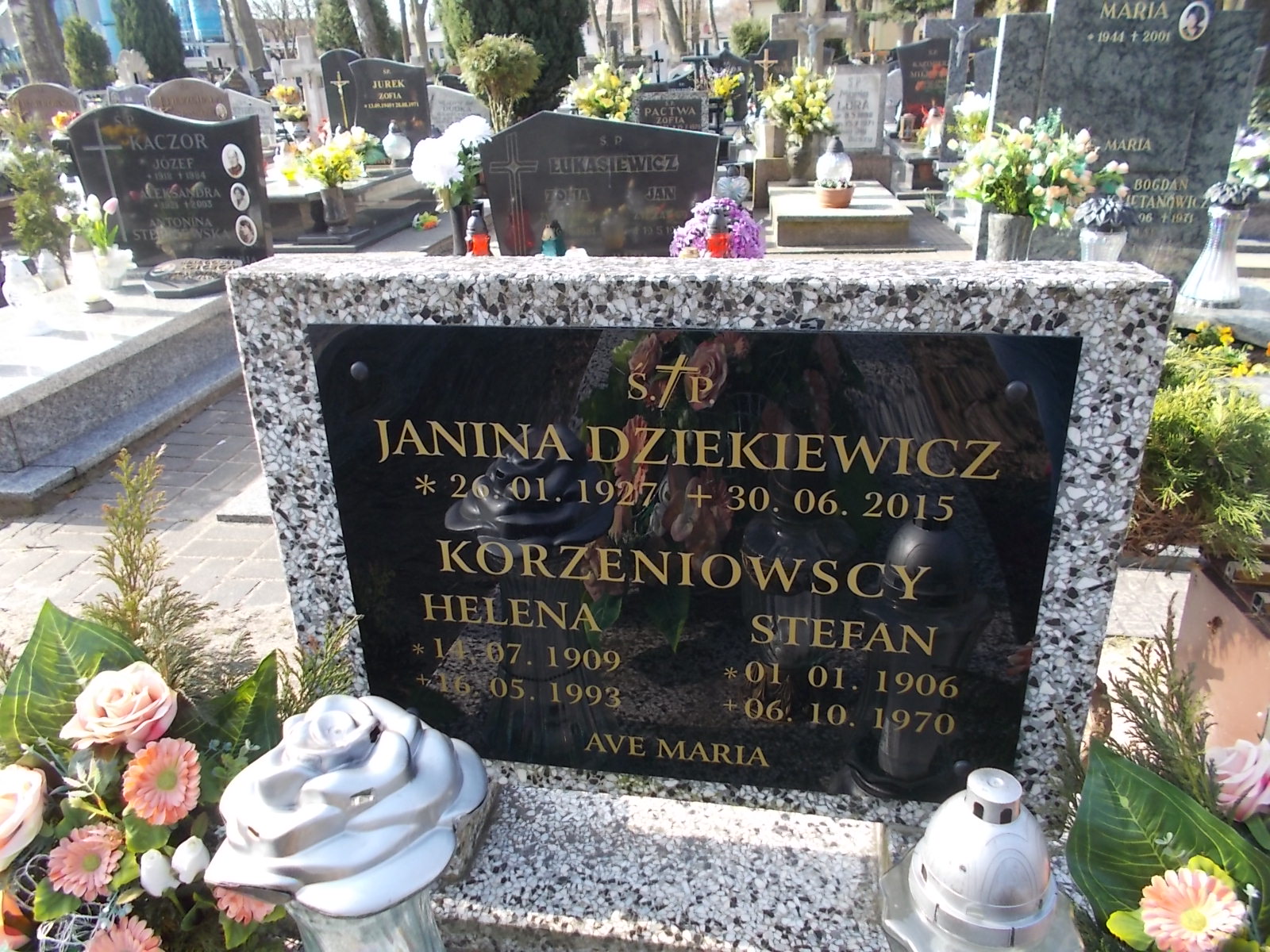 Helena Korzeniowska 1909 Ustka - Grobonet - Wyszukiwarka osób pochowanych