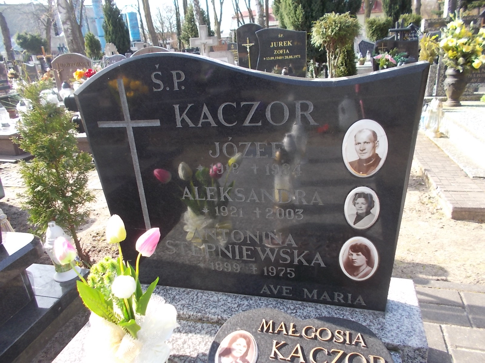 Józef Kaczor 1917 Ustka - Grobonet - Wyszukiwarka osób pochowanych