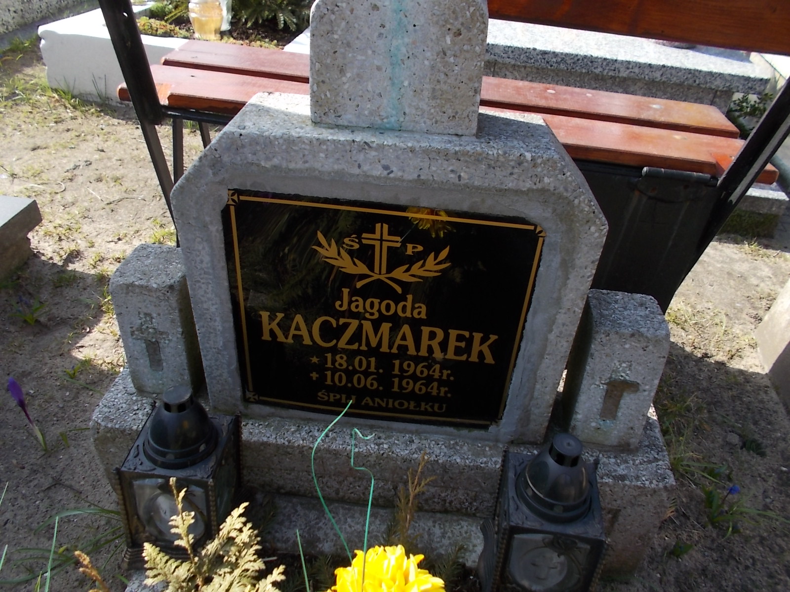 Tadeusz Kaczmarek 1936 Ustka - Grobonet - Wyszukiwarka osób pochowanych