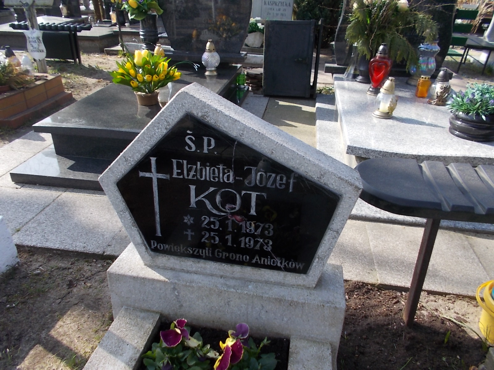 Józef Kot 1973 Ustka - Grobonet - Wyszukiwarka osób pochowanych