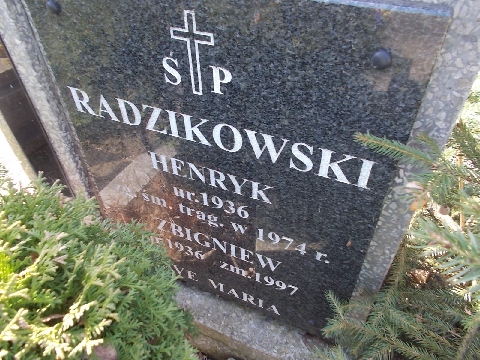 Zdjęcie grobu