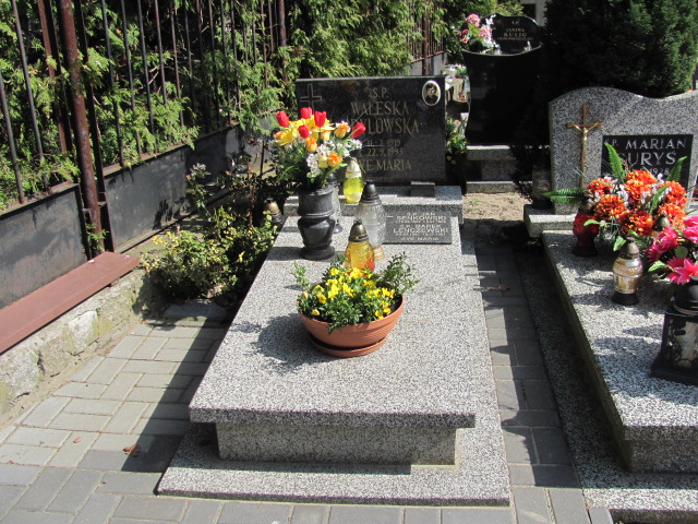 Grób Waleska Brylowska